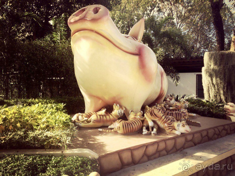 Паттайя – да кто ж ее не знает )