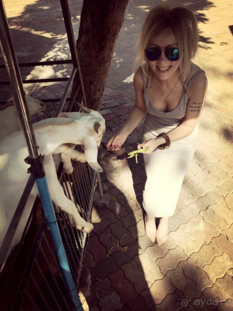 Паттайя – да кто ж ее не знает )