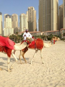 Путеводитель по Дубаи