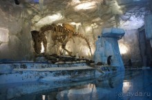 Путеводитель по Дубаи