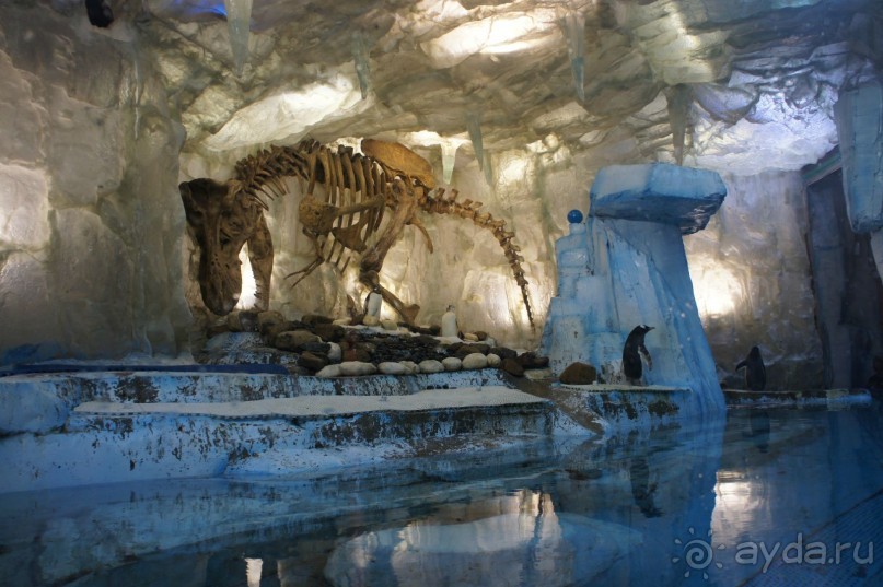 Путеводитель по Дубаи