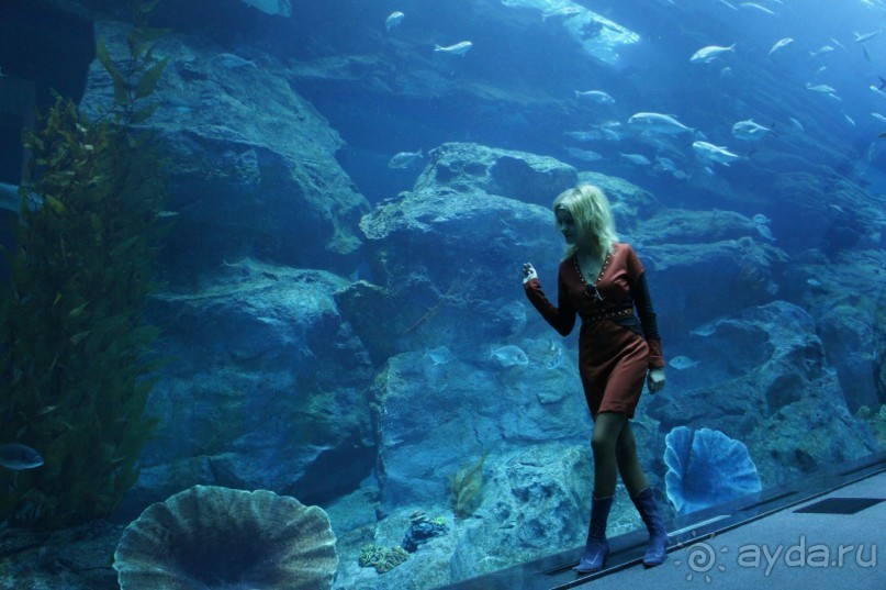 Путеводитель по Дубаи