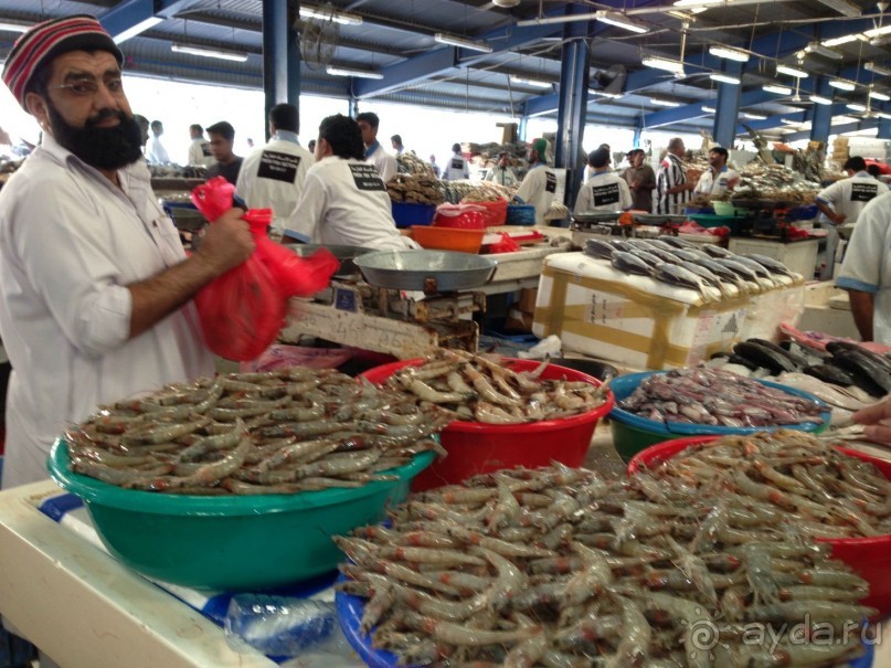 Путеводитель по Дубаи