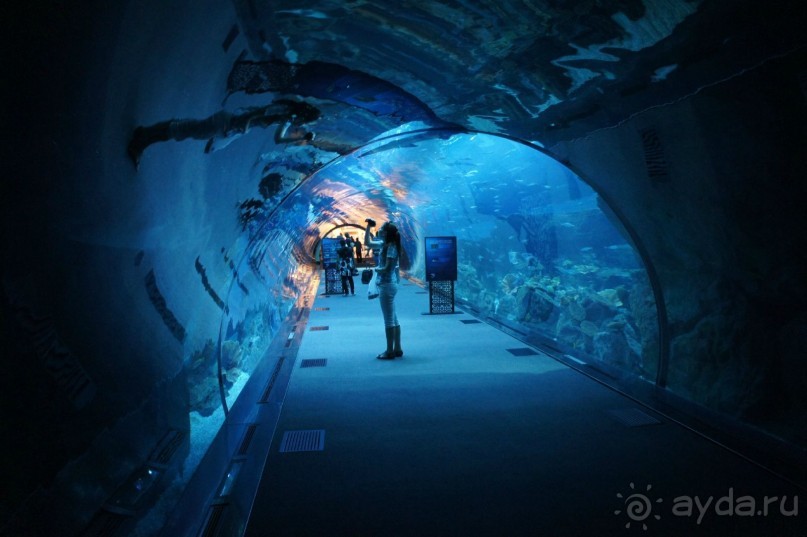 Путеводитель по Дубаи