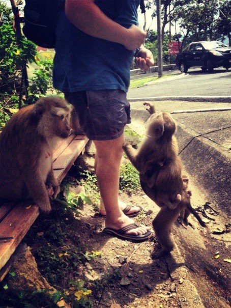 Путеводитель Пхукет