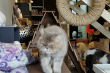 Путеводитель Пхукет