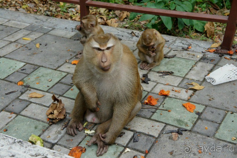Путеводитель Пхукет