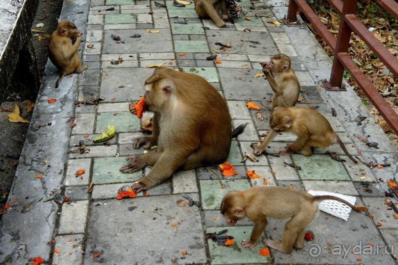 Путеводитель Пхукет