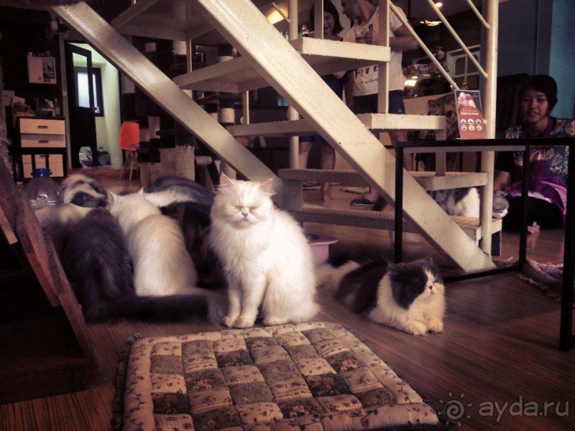 Путеводитель Пхукет