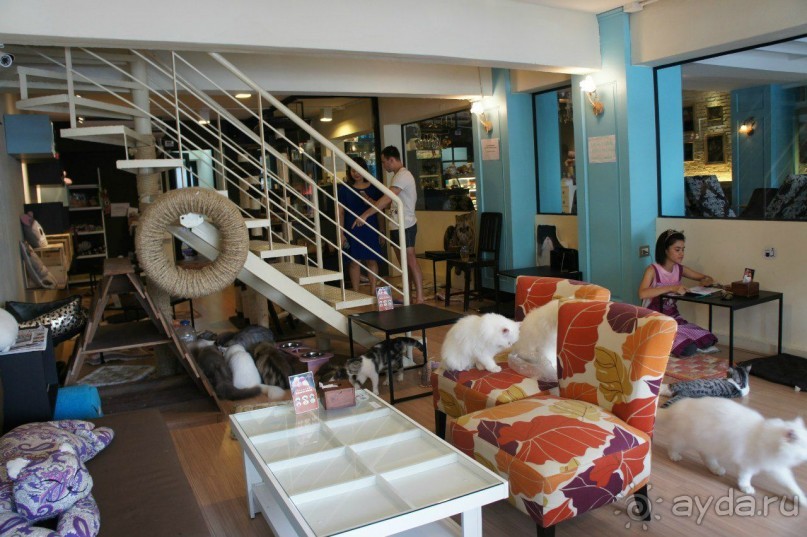 Путеводитель Пхукет