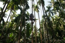 Гоа: здесь рая нет!)