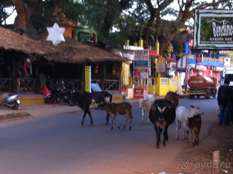 Гоа: здесь рая нет!)