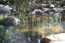 Гоа: здесь рая нет!)