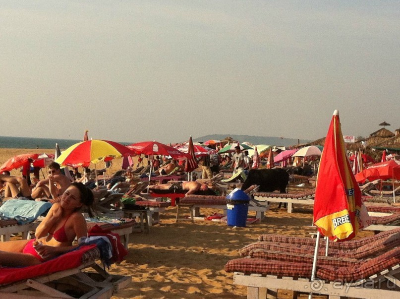 Гоа: здесь рая нет!)