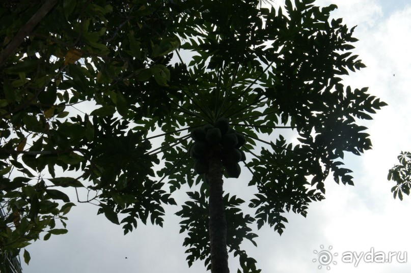 Бали - open air музей, путеводитель