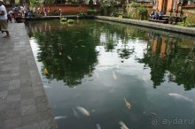 Бали - open air музей, путеводитель