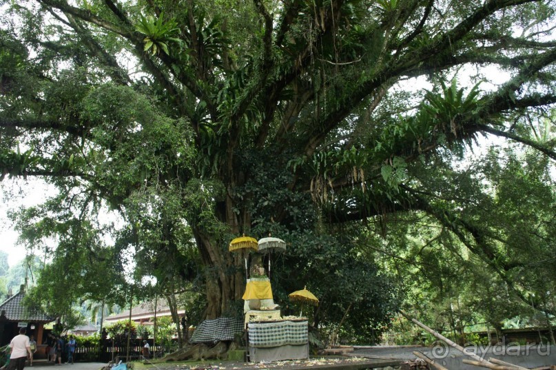 Бали - open air музей, путеводитель