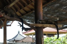 Бали - open air музей, путеводитель