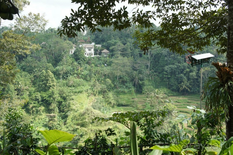 Бали - open air музей, путеводитель