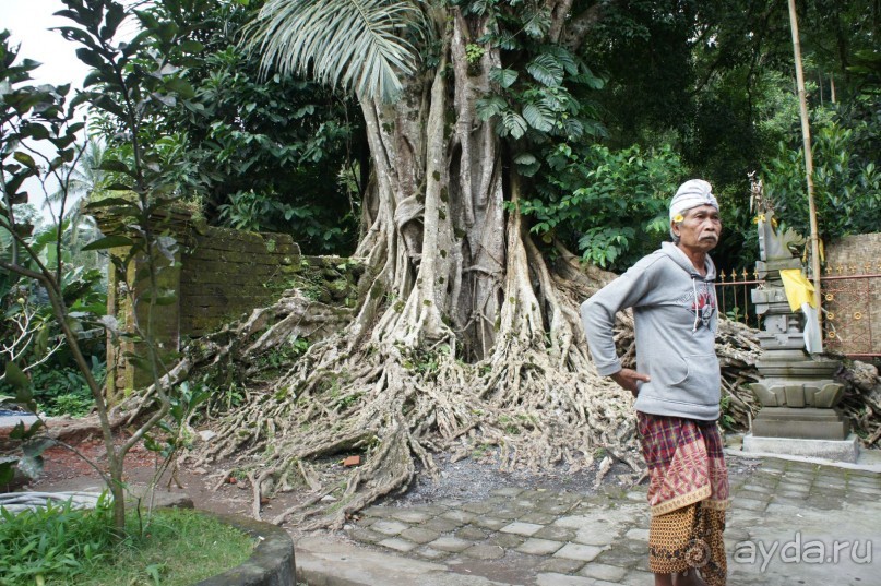 Бали - open air музей, путеводитель