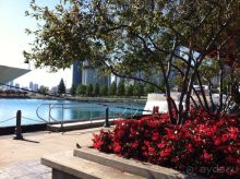 Чикаго: город ветров