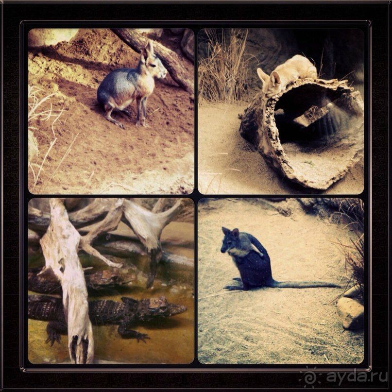 Чикаго: город ветров