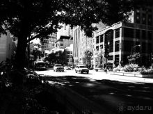 Чикаго: город ветров