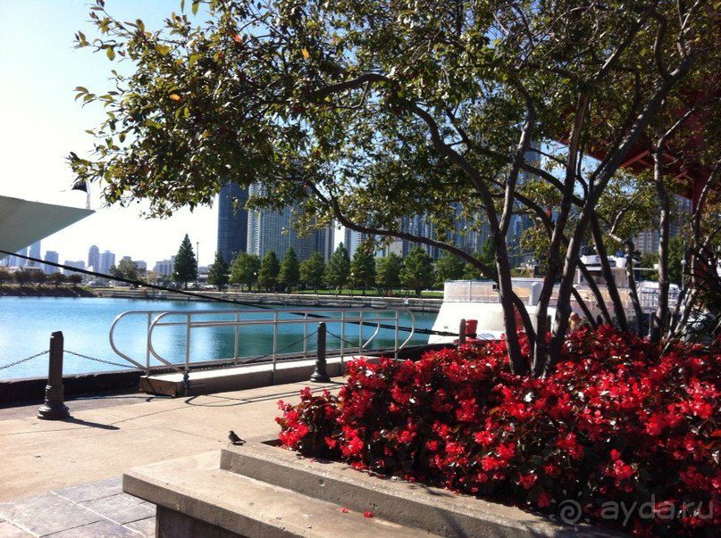 Чикаго: город ветров