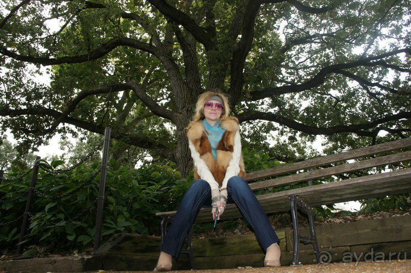 Чикаго: город ветров