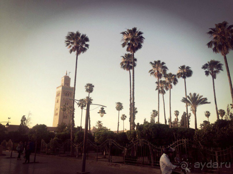 Почему Марокко?