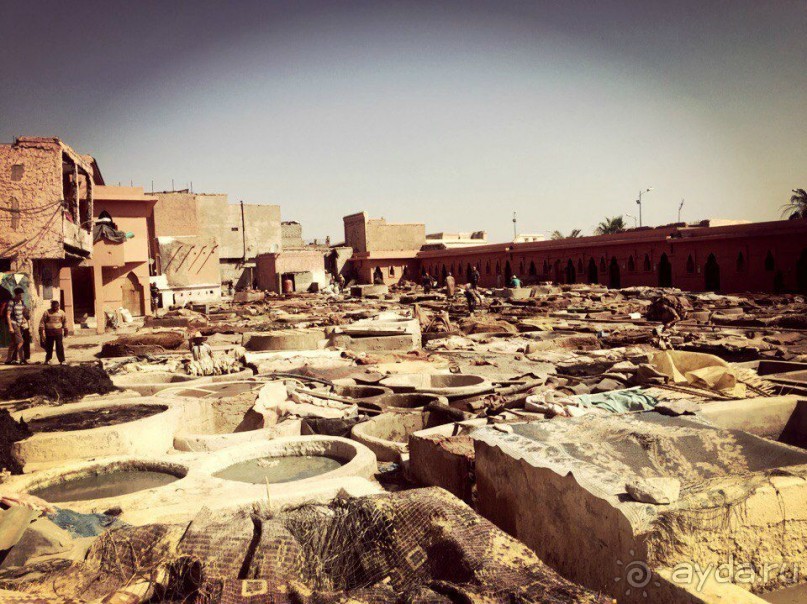 Альбом отзыва "Почему Марокко?"