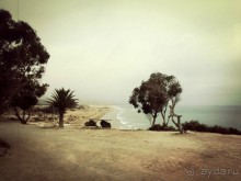 Альбом отзыва "Почему Марокко?"