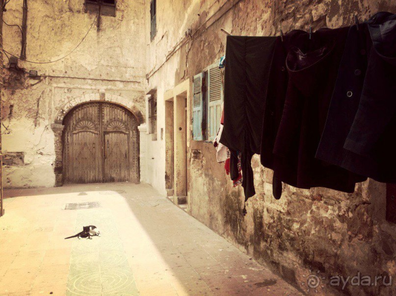 Альбом отзыва "Почему Марокко?"