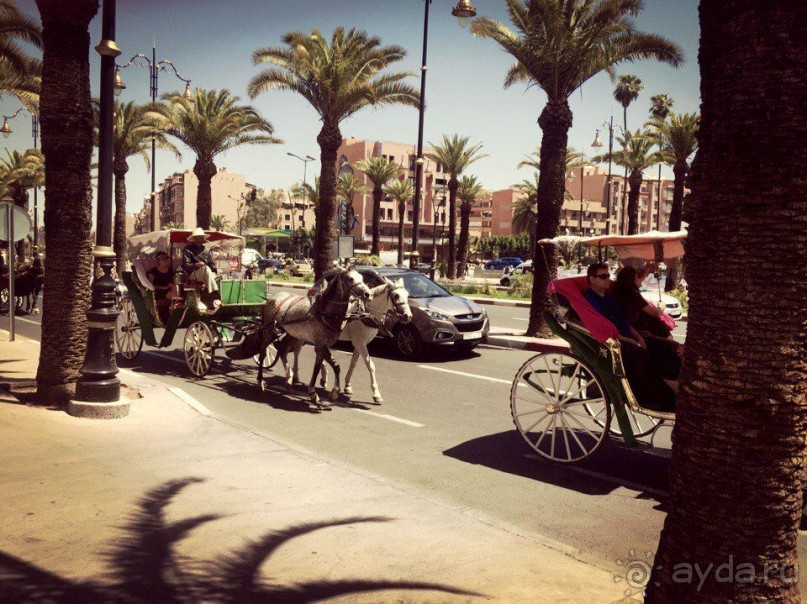 Почему Марокко?