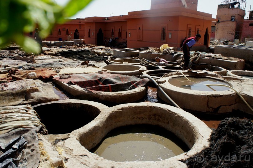 Почему Марокко?