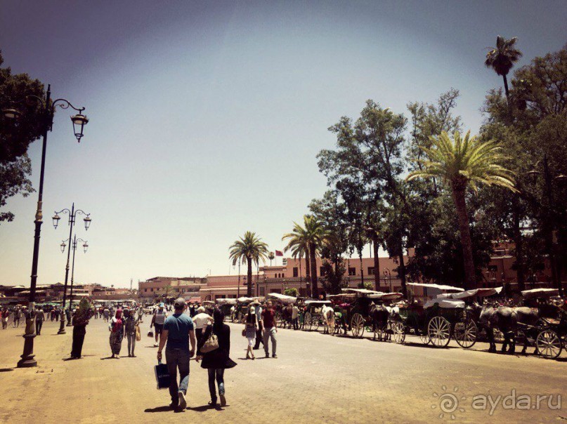 Почему Марокко?