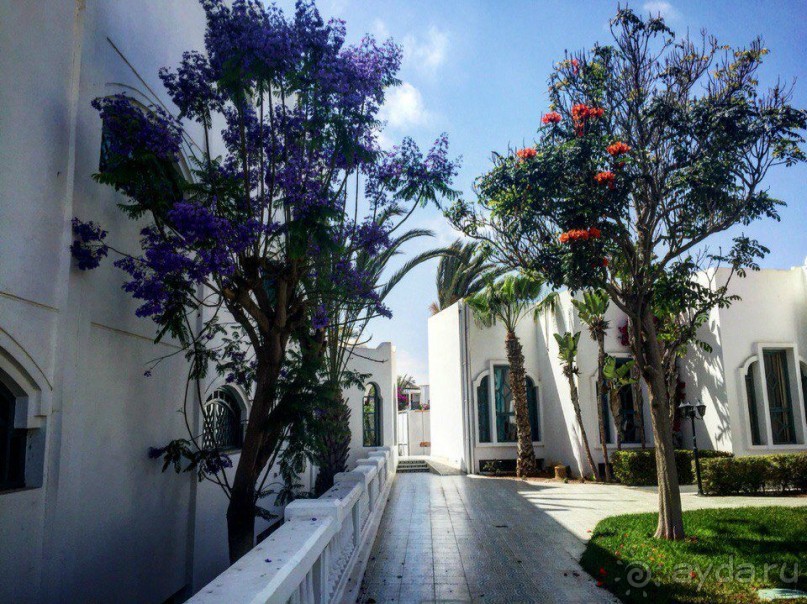 Почему Марокко?