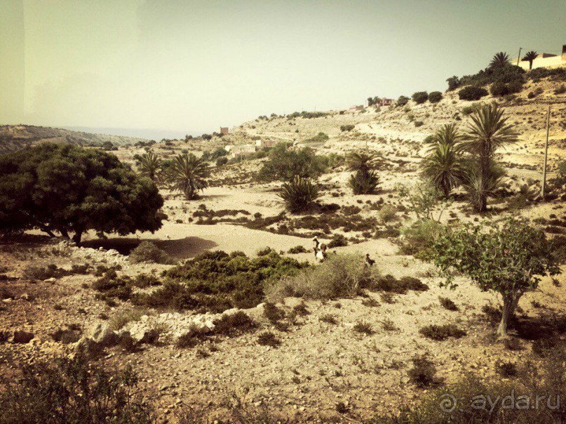 Почему Марокко?