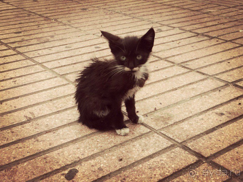 Почему Марокко?