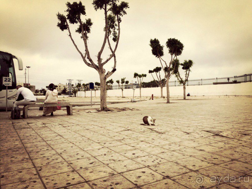 Почему Марокко?