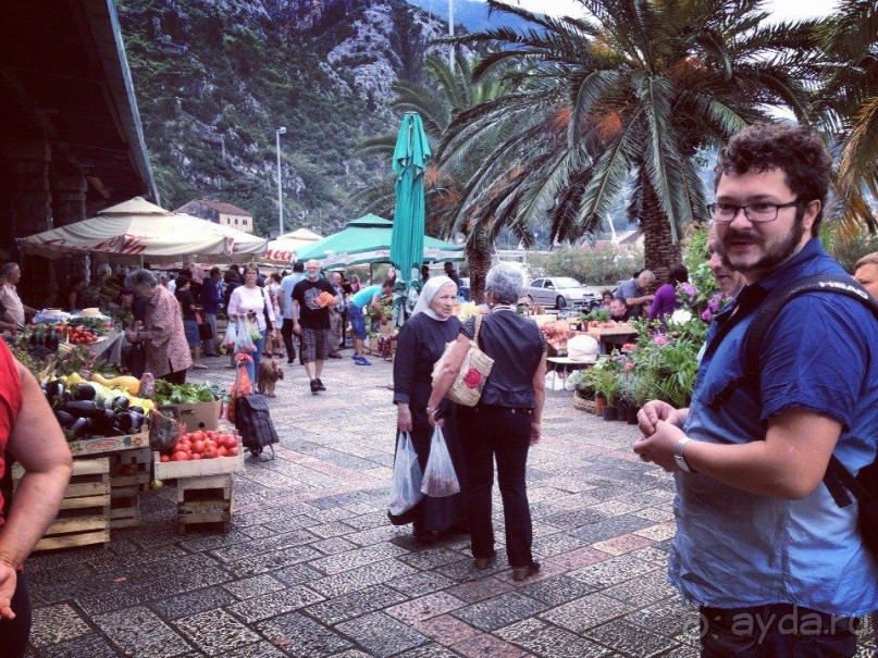 Черногория: размышления вслух