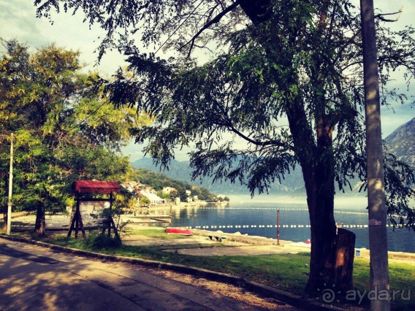 Черногория: размышления вслух