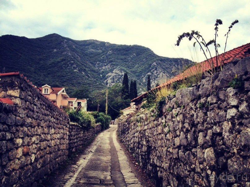 Черногория: размышления вслух