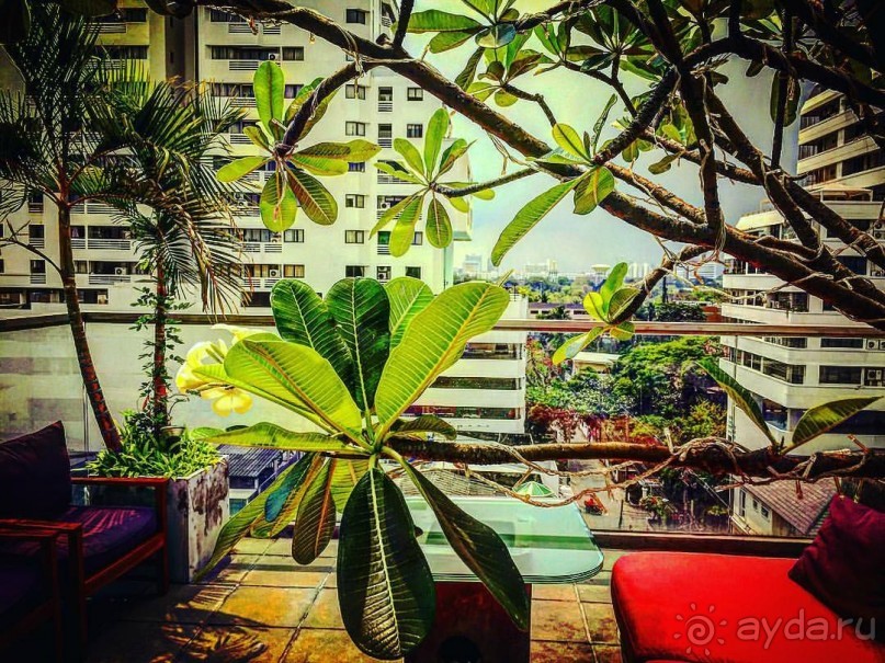 Альбом отзыва "Бангкок рулит: концерт Guns  and  Roses"