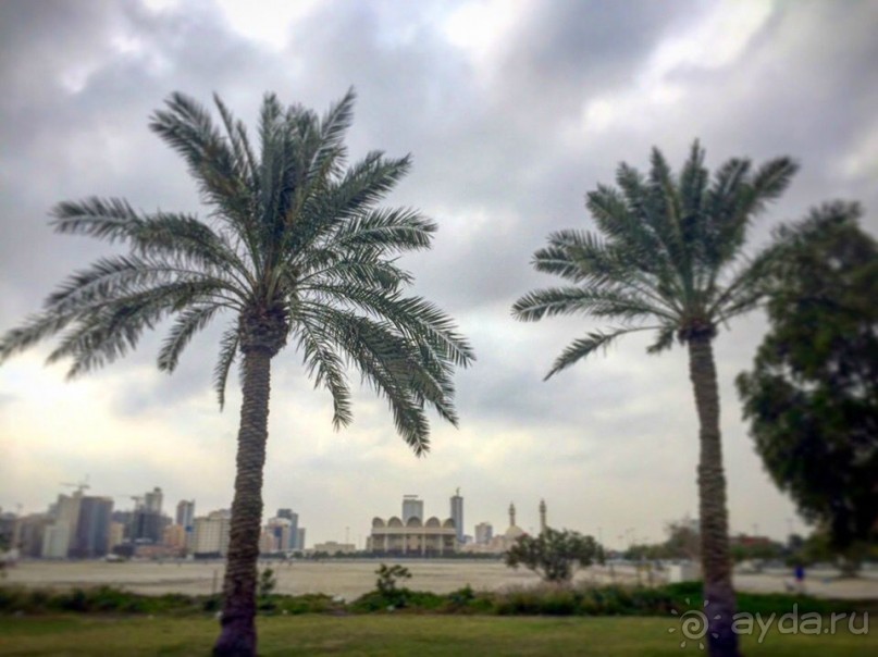 Бахрейн в пол ноги с ребенком