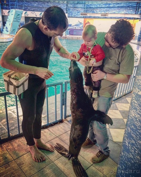 Бахрейн в пол ноги с ребенком