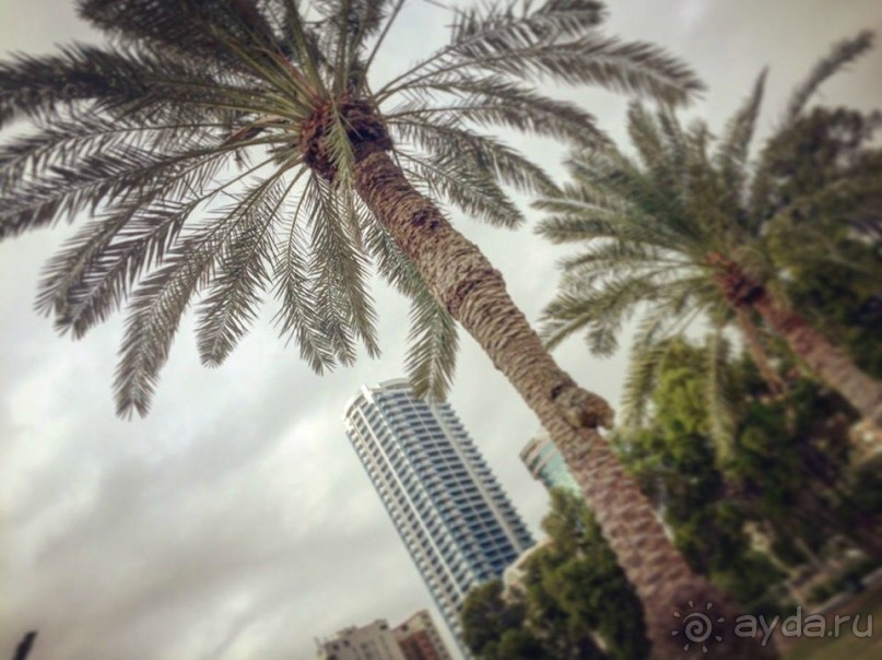 Бахрейн в пол ноги с ребенком