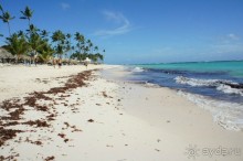 Майми - Доминикана