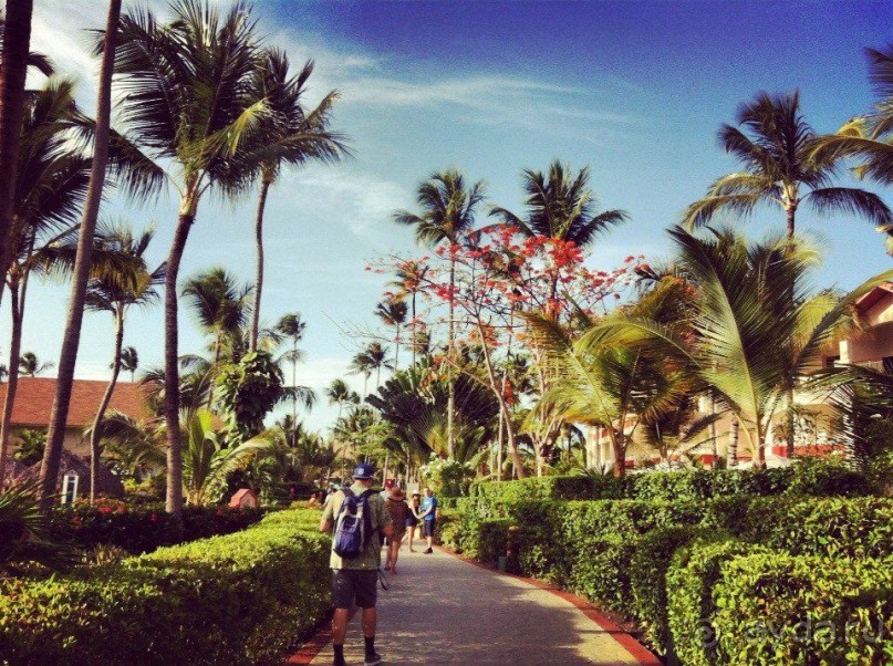 Майми - Доминикана