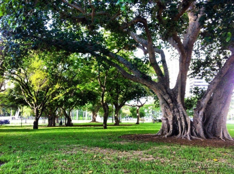 Майми - Доминикана